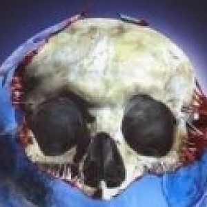 oxygene.jpg